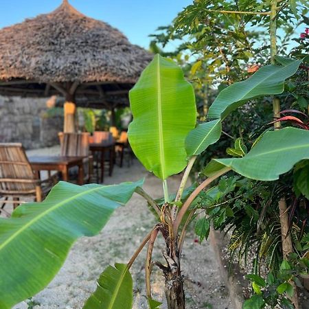 Mbuyuni Lodge Nungwi Dış mekan fotoğraf